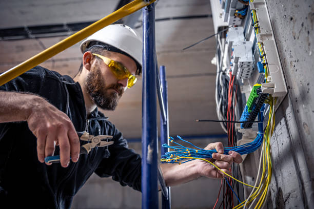 Best Ceiling Fan Installation Electrician  in Daisetta, TX