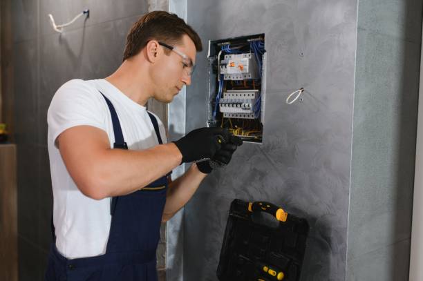 Best Electrical System Inspection  in Daisetta, TX