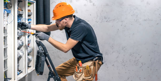 Best Electric Panel Repair  in Daisetta, TX